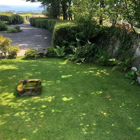 Verde Limone -the Studio And Bay View St Austell