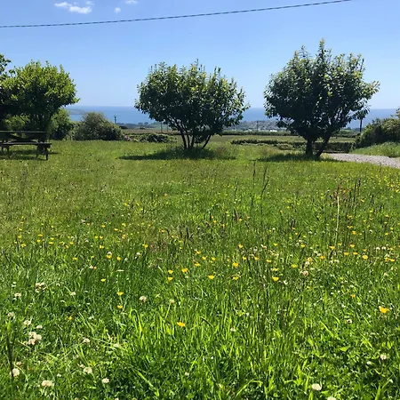 Verde Limone -the Studio And Bay View